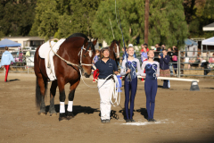vaulter16