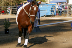 vaulter17