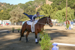 vaulter19