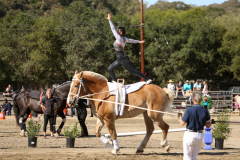 vaulter20