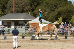 vaulter22