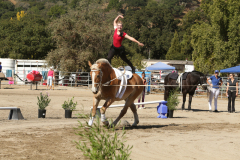 vaulter23