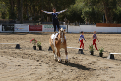 vaulter25