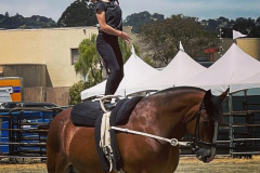 vaulter11