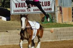 vaulter29
