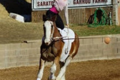vaulter31