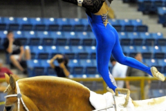 vaulter103