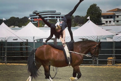 vaulter105