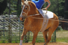 vaulter66