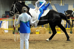 vaulter68