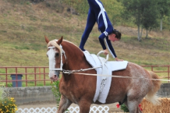 vaulter69