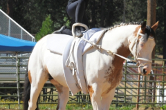 vaulter70