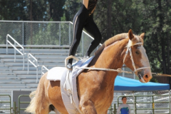 vaulter71