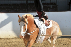 vaulter72
