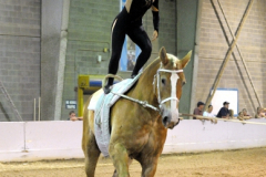vaulter78