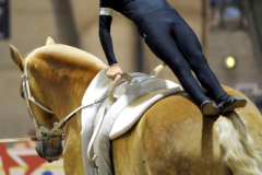 vaulter79