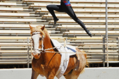 vaulter80