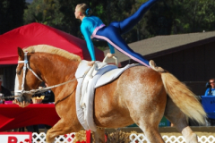 vaulter87