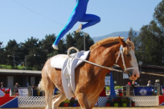 vaulter89