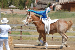 vaulter93