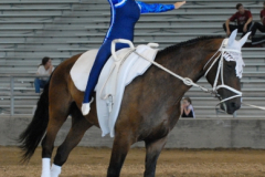 vaulter97