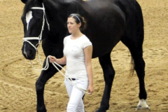 vaulter41