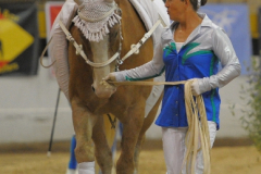 vaulter46