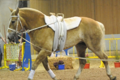 vaulter47