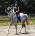 vaulter120
