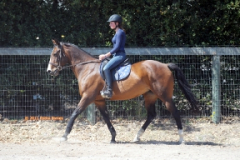 vaulter121
