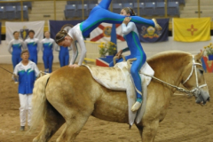 vaulter108