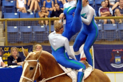 vaulter109