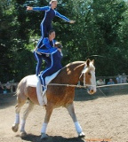 vaulter113