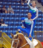 vaulter114
