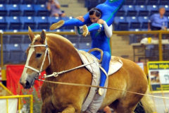 vaulter116