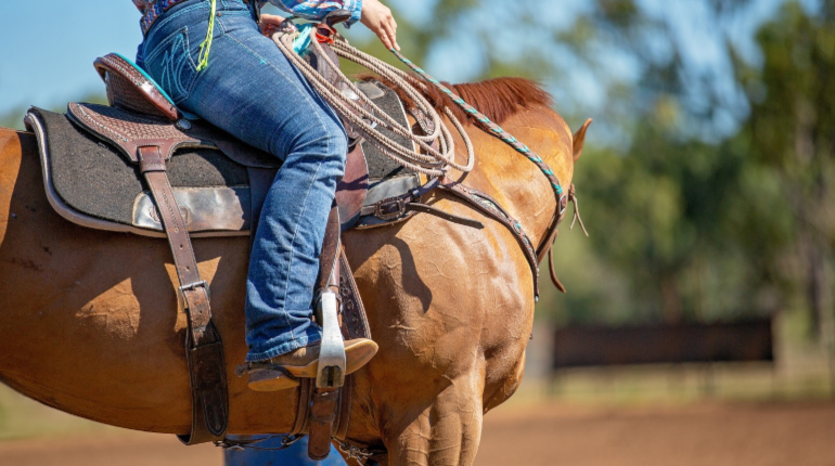 Riding Lessons at Tambourine Farm