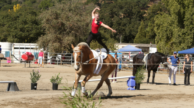Vaulting at Tambourine Farm