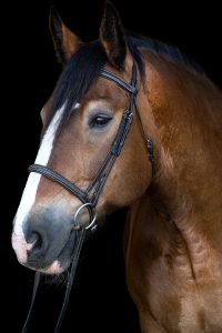 Remi - Tambourine Vaulters